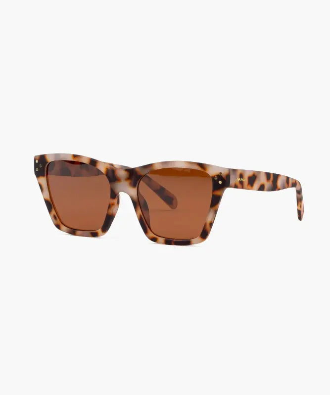 Lentes De Sol Cat Eye