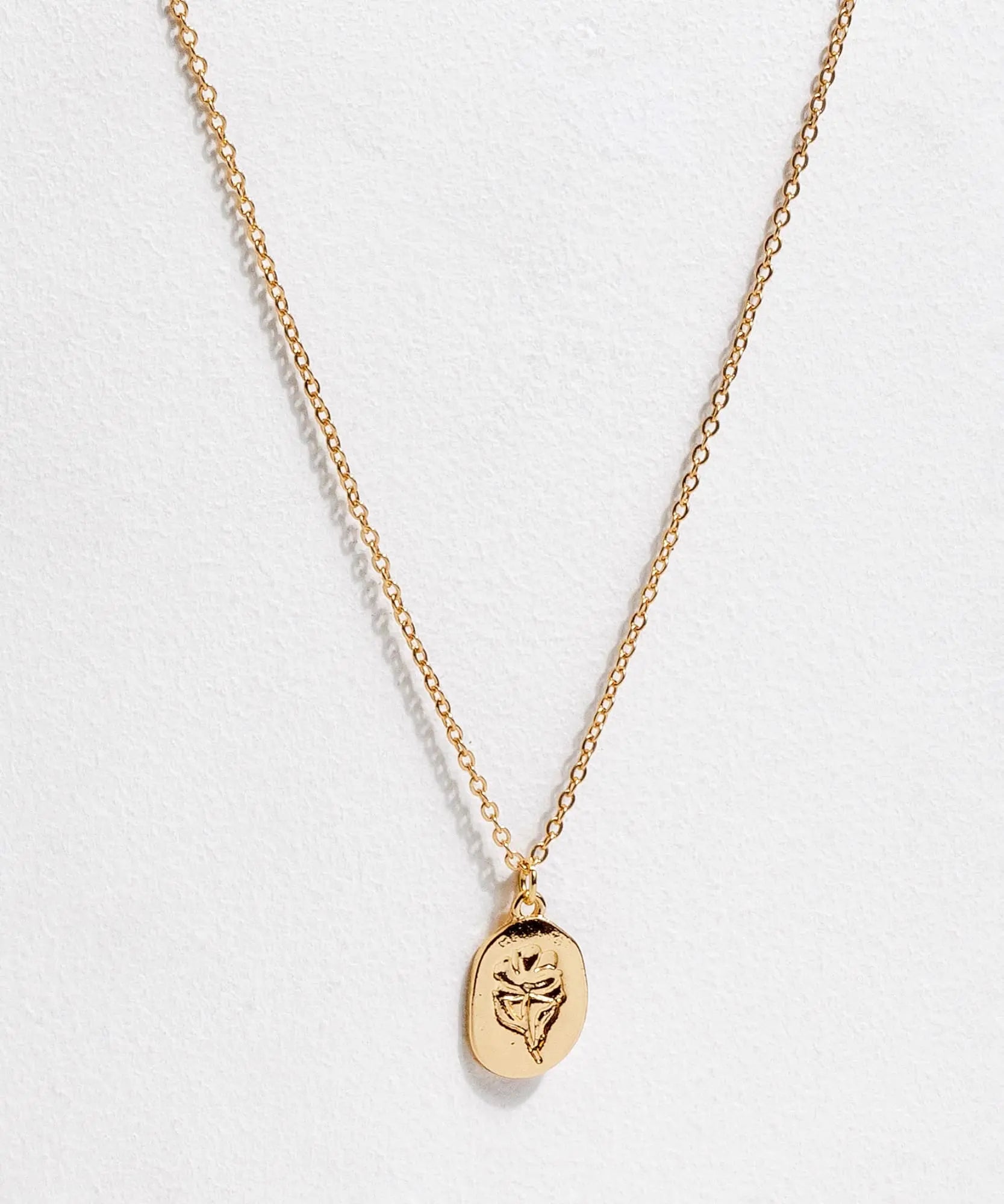 Collar The Artist Project by @corebolledo