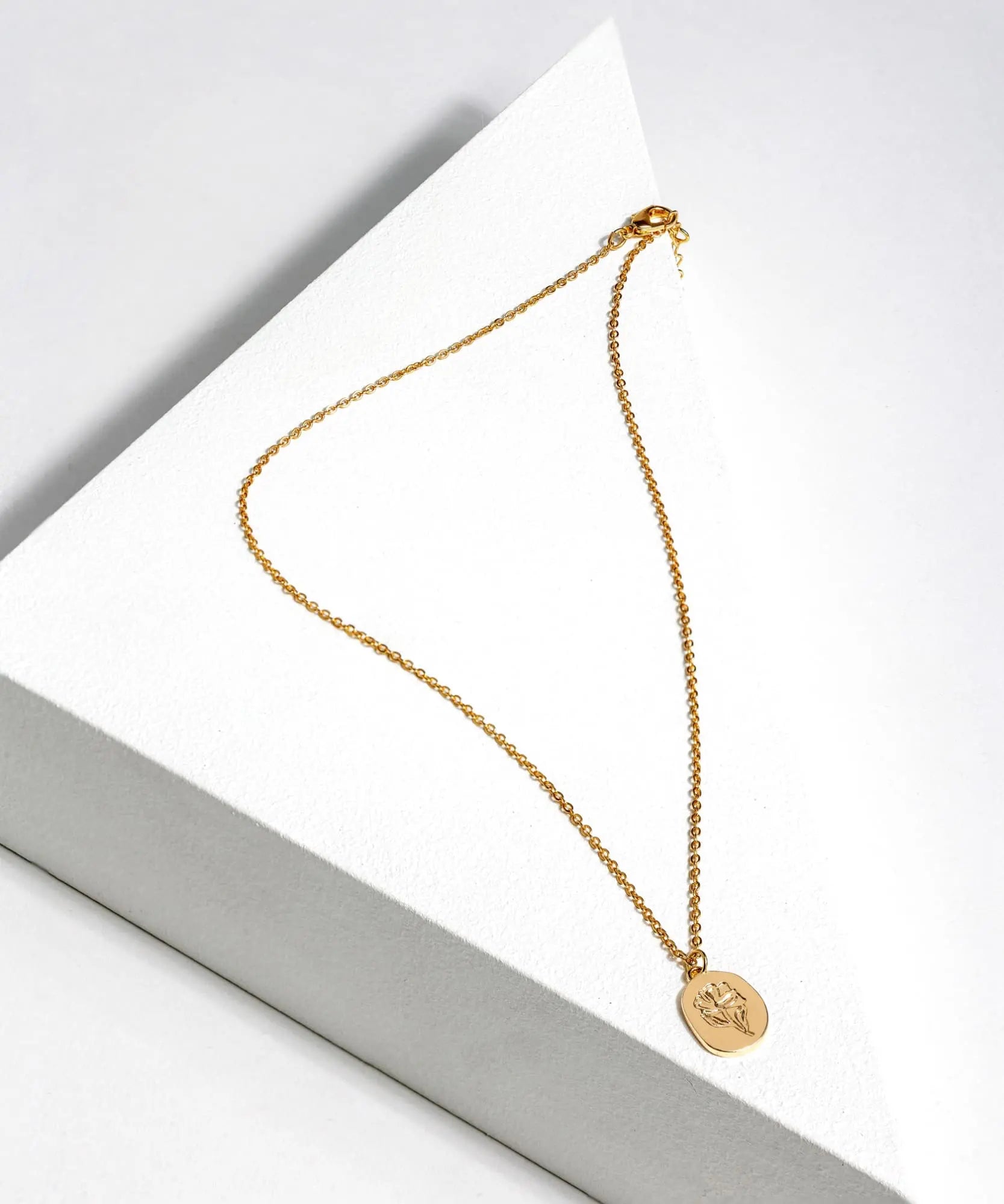 Collar The Artist Project by @corebolledo