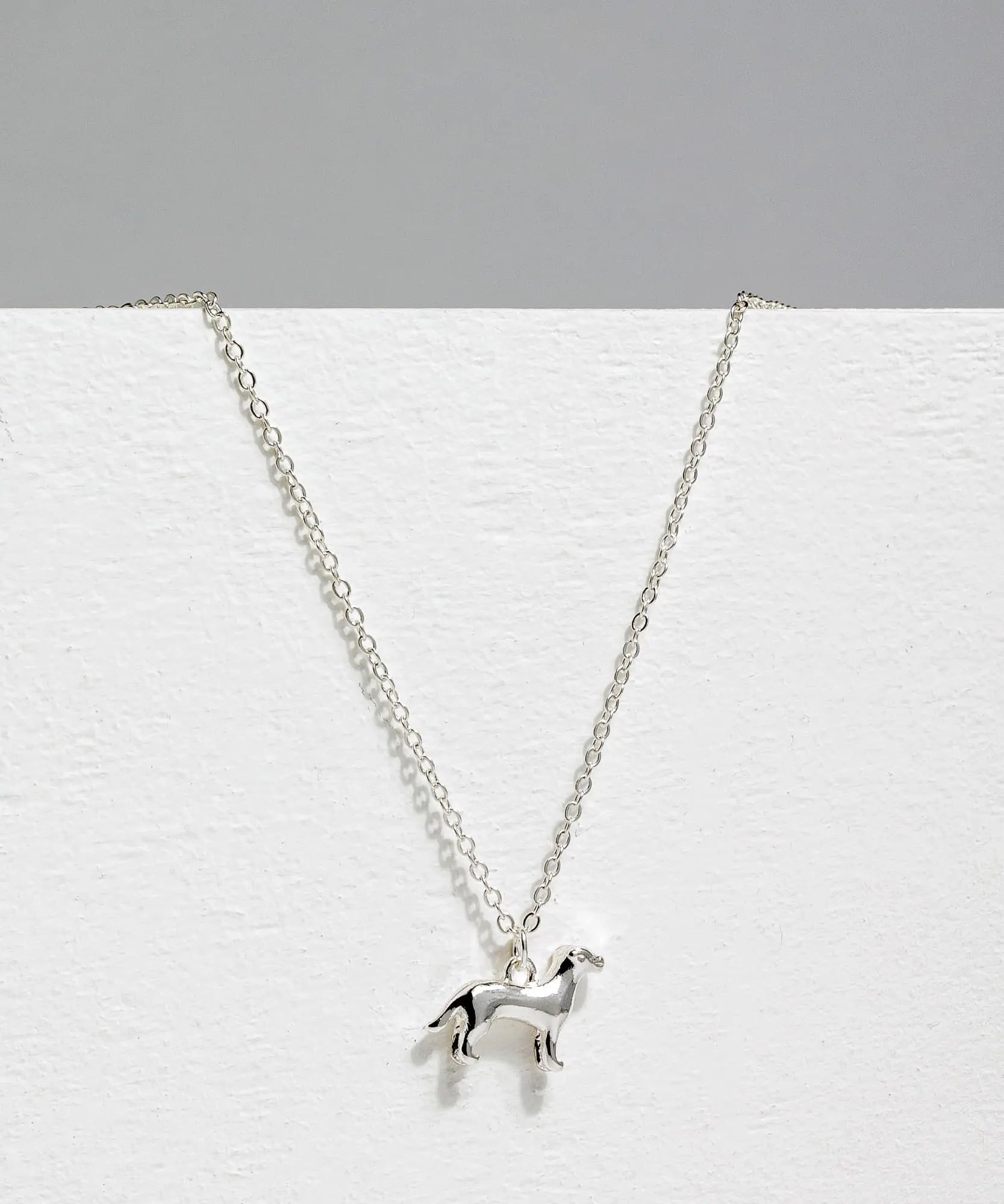 Collar The Artist Project by @daniconlapiz