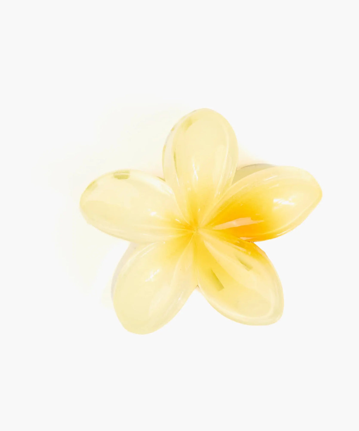 Pinche Flor Botanicals