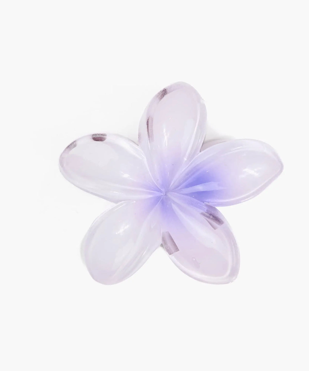 Pinche Flor Botanicals