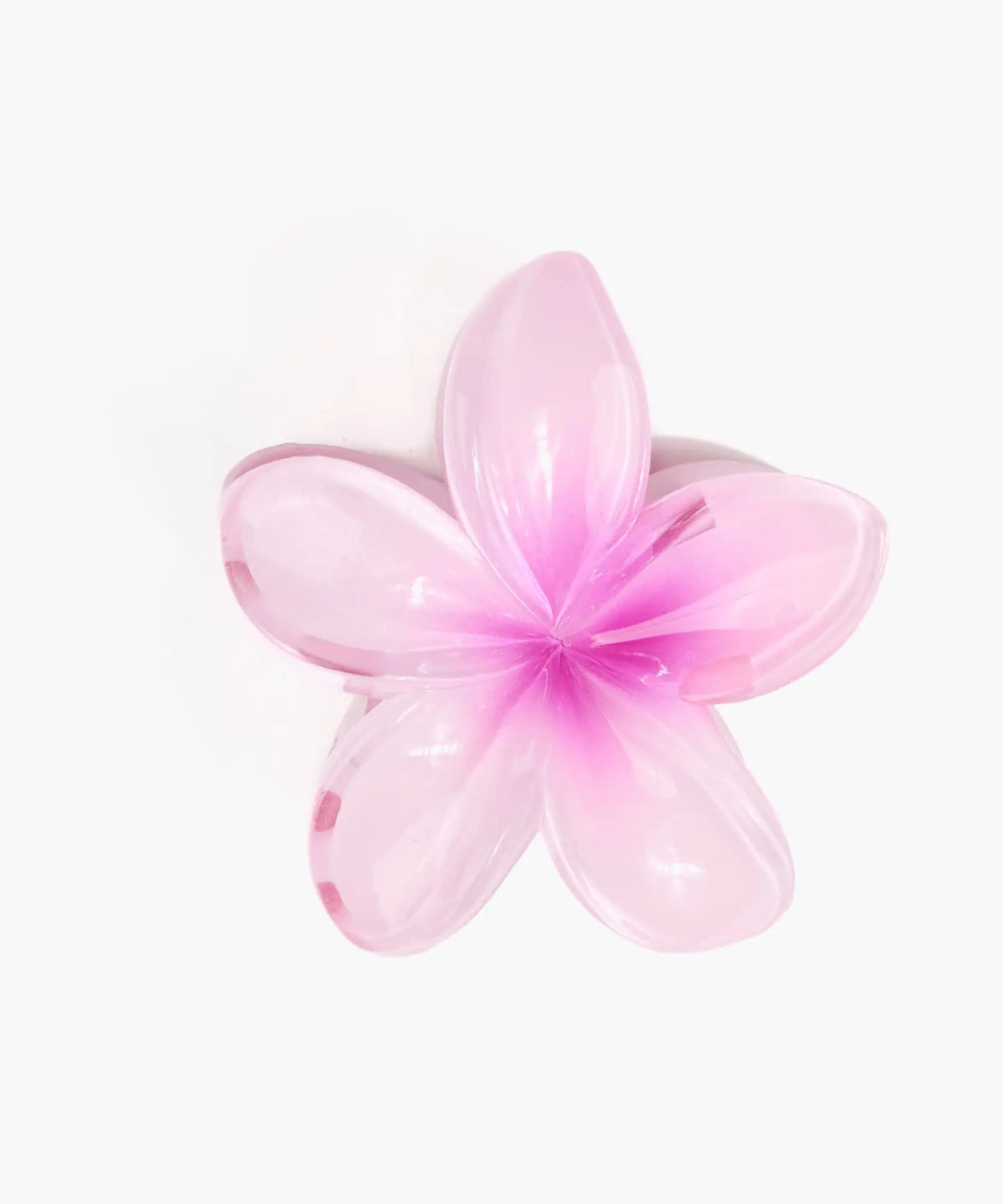 Pinche Flor Botanicals