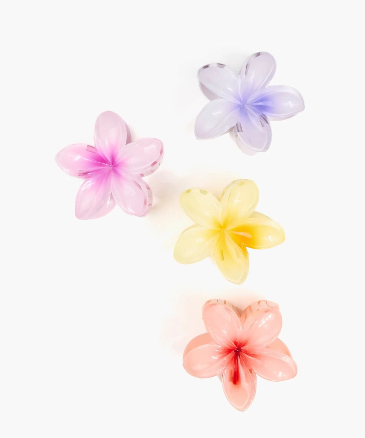 Pinche Flor Botanicals