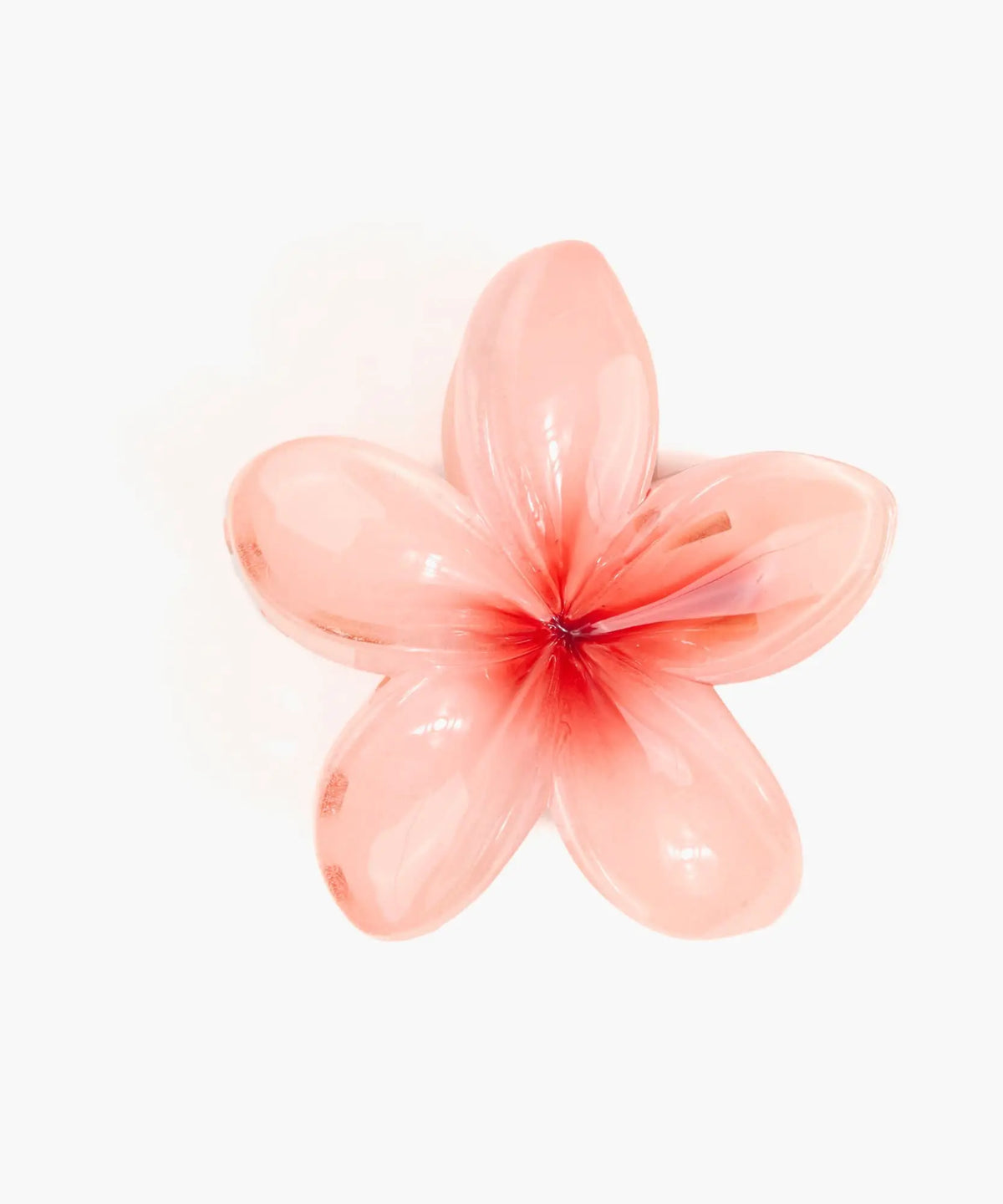 Pinche Flor Botanicals