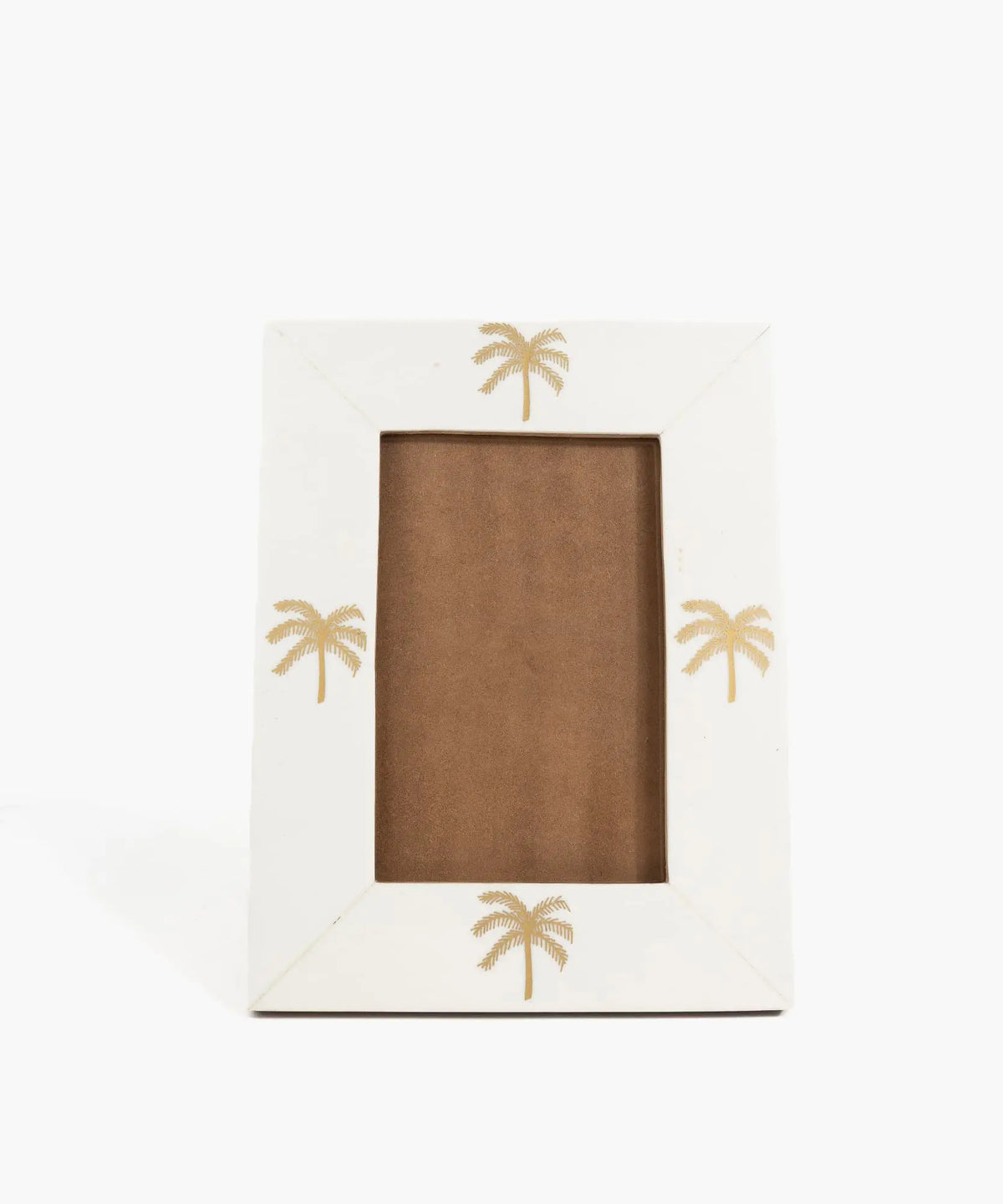 Marco De Fotos Palmeras