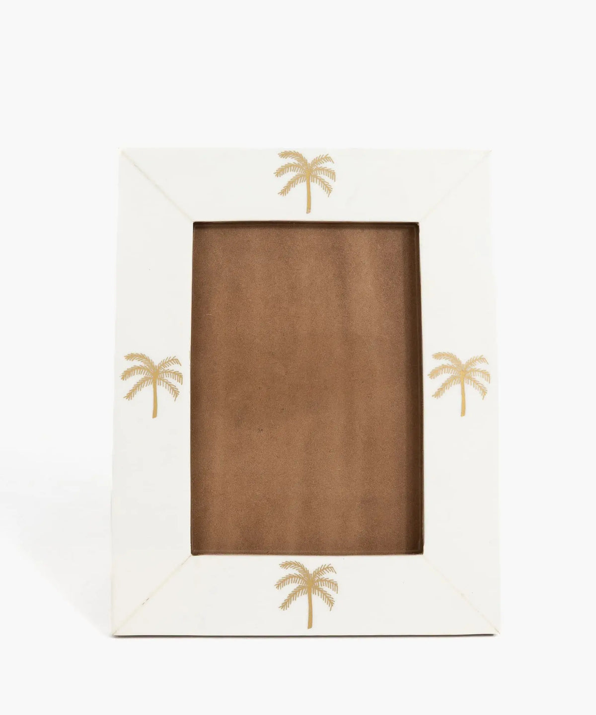 Marco De Fotos Palmeras