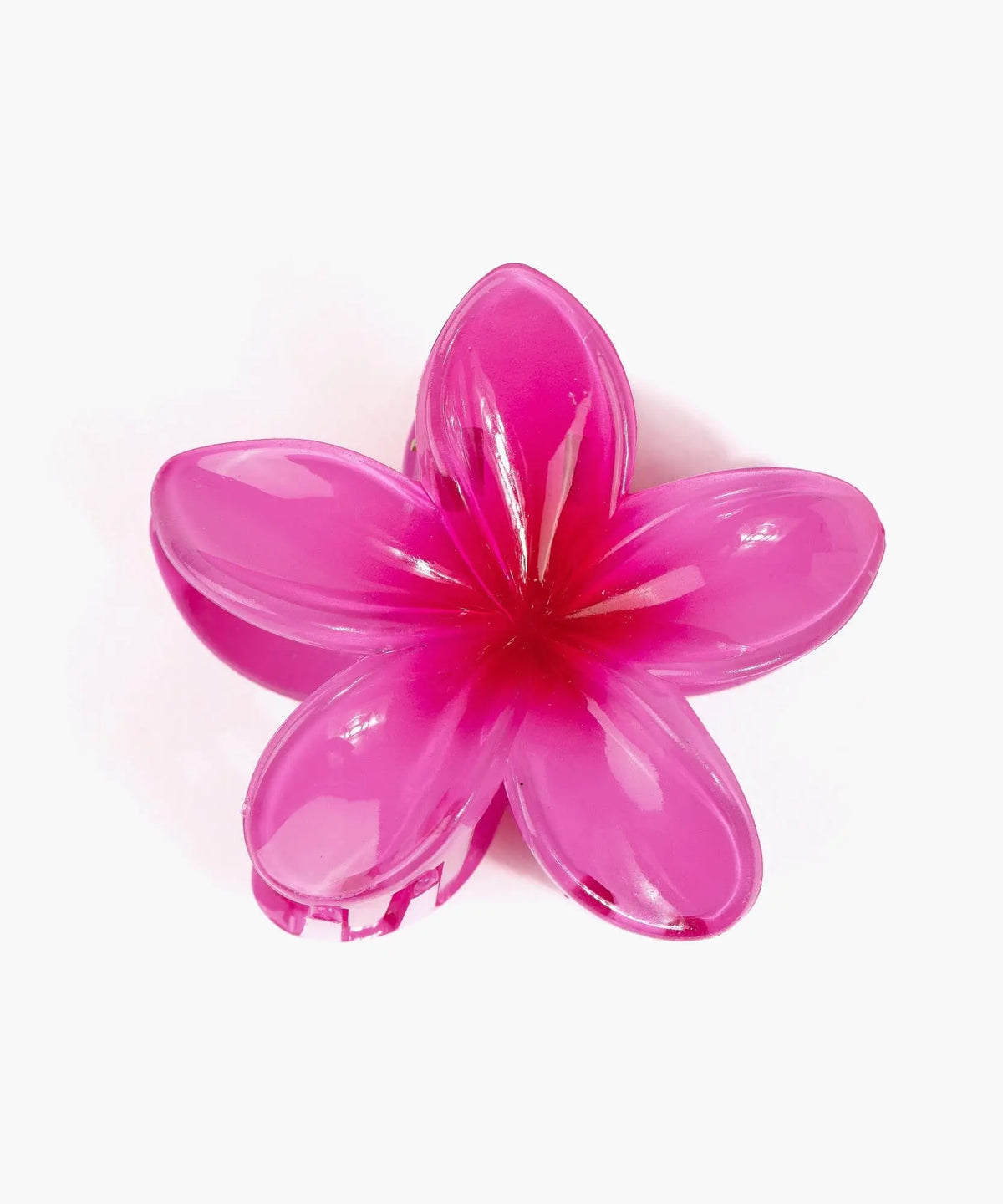 Pinche De Flor Botanicals