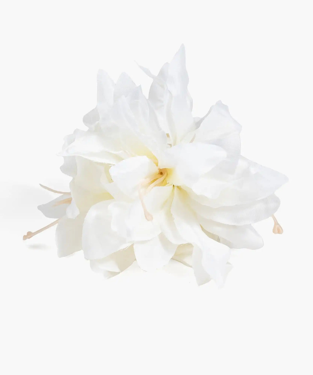 Pinche Flor Botanicals