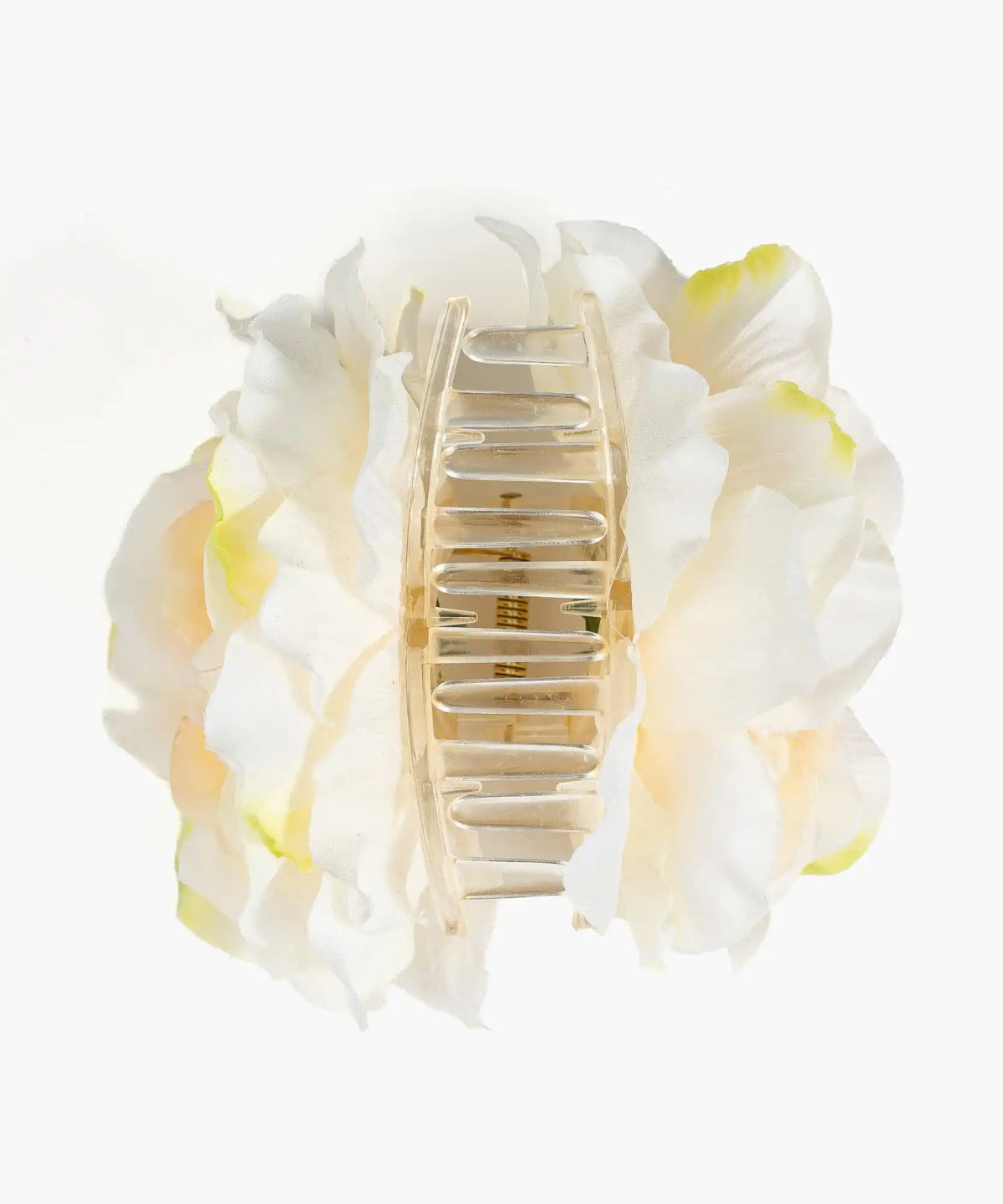 Pinche Flor Textura Botanicals