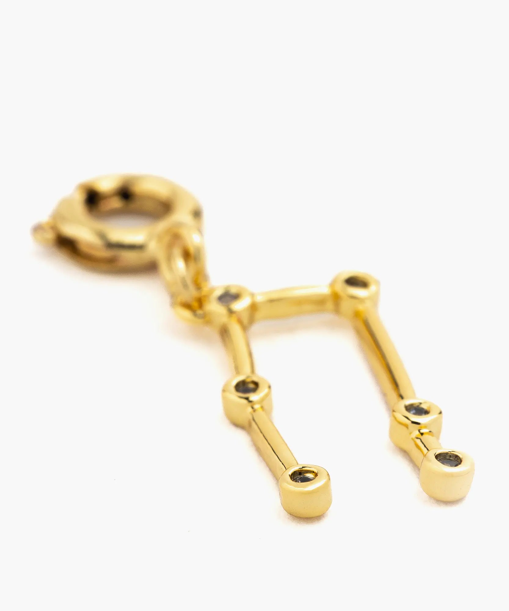 Charm Dije Zodiaco