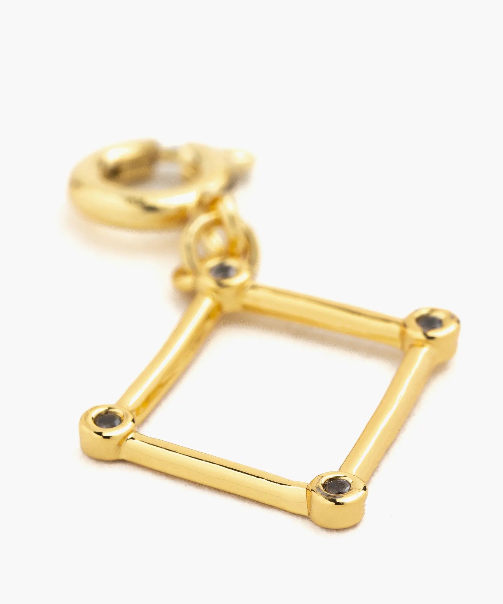 Charm Dije Zodiaco