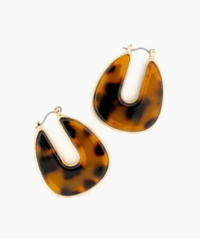 Aros Argollas Carey
