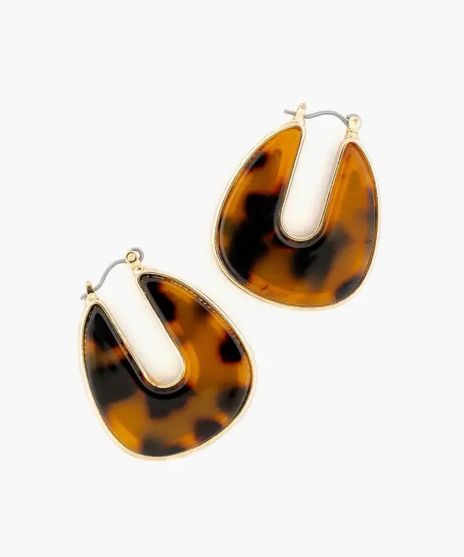 Aros Argollas Carey