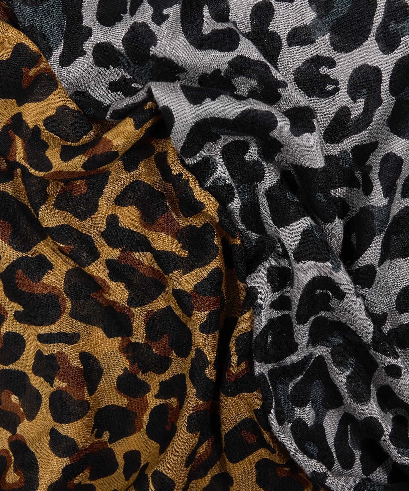 Estola Leopardo