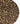 Boina Animal Print
