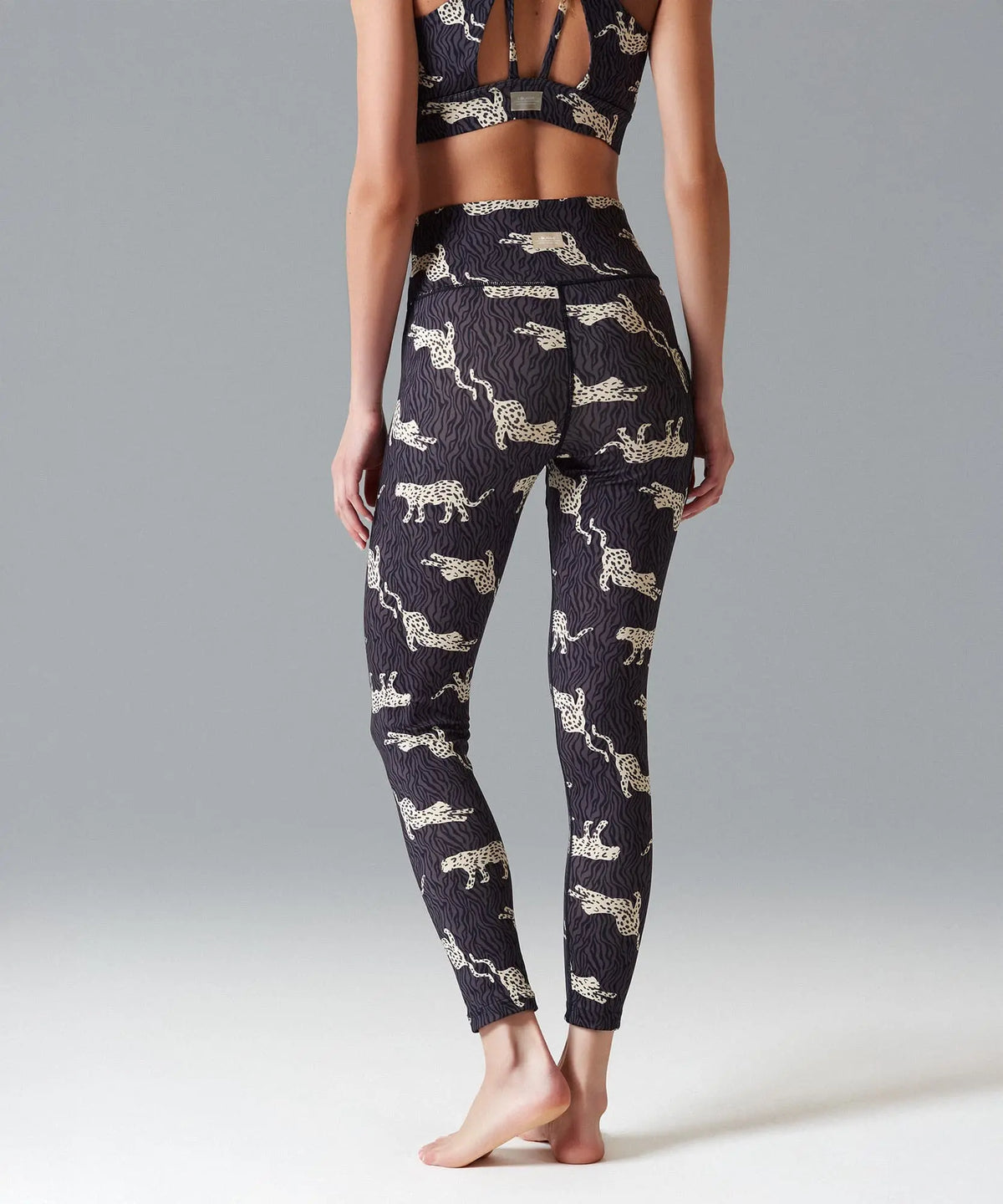 Calza Deportiva Active