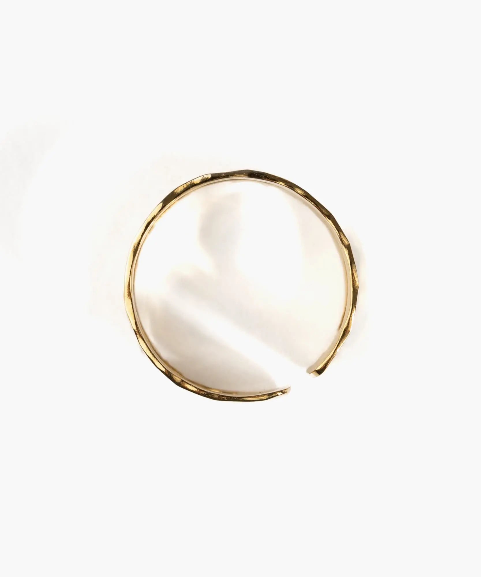 Anillo Doble