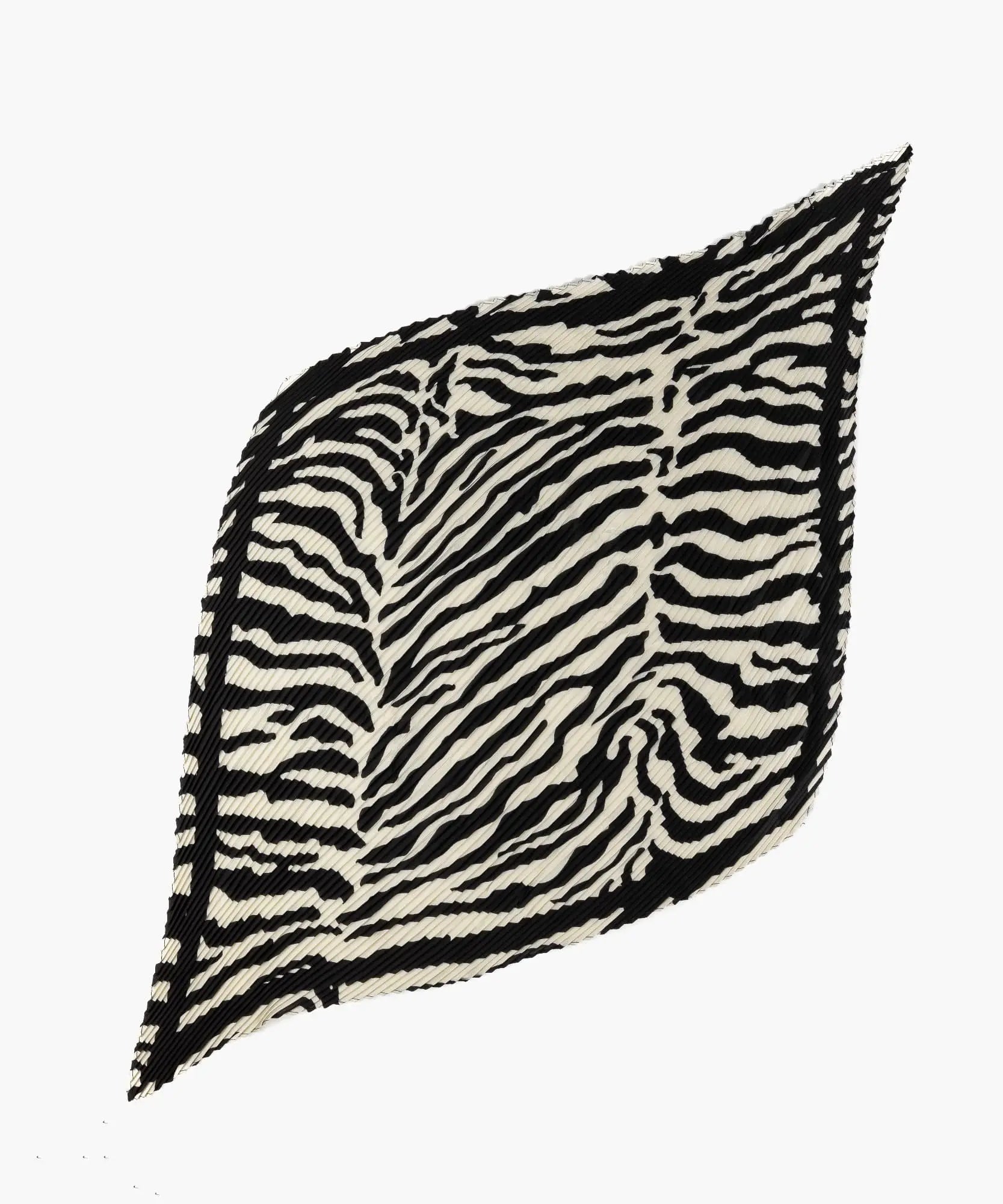 Set Pañuelo Y Aros Zebra