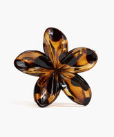 Pinche Flor Carey