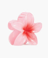 Pinche De Flor Tropical