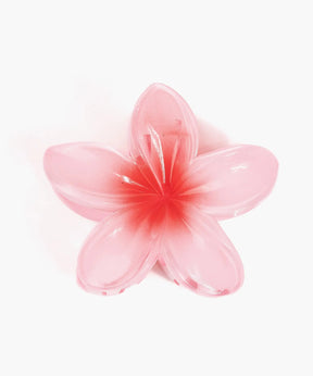 Pinche De Flor Tropical