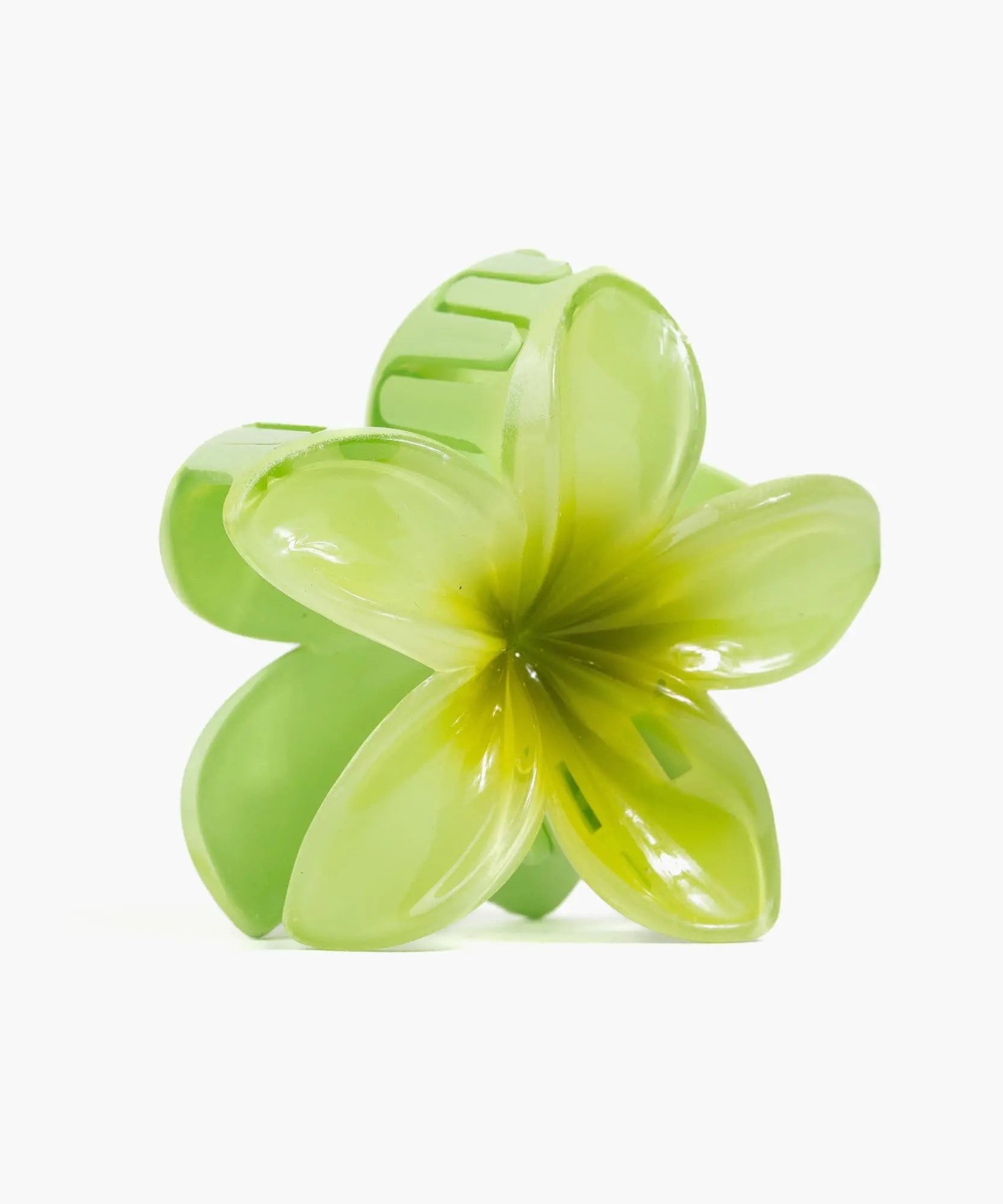 Pinche De Flor Tropical