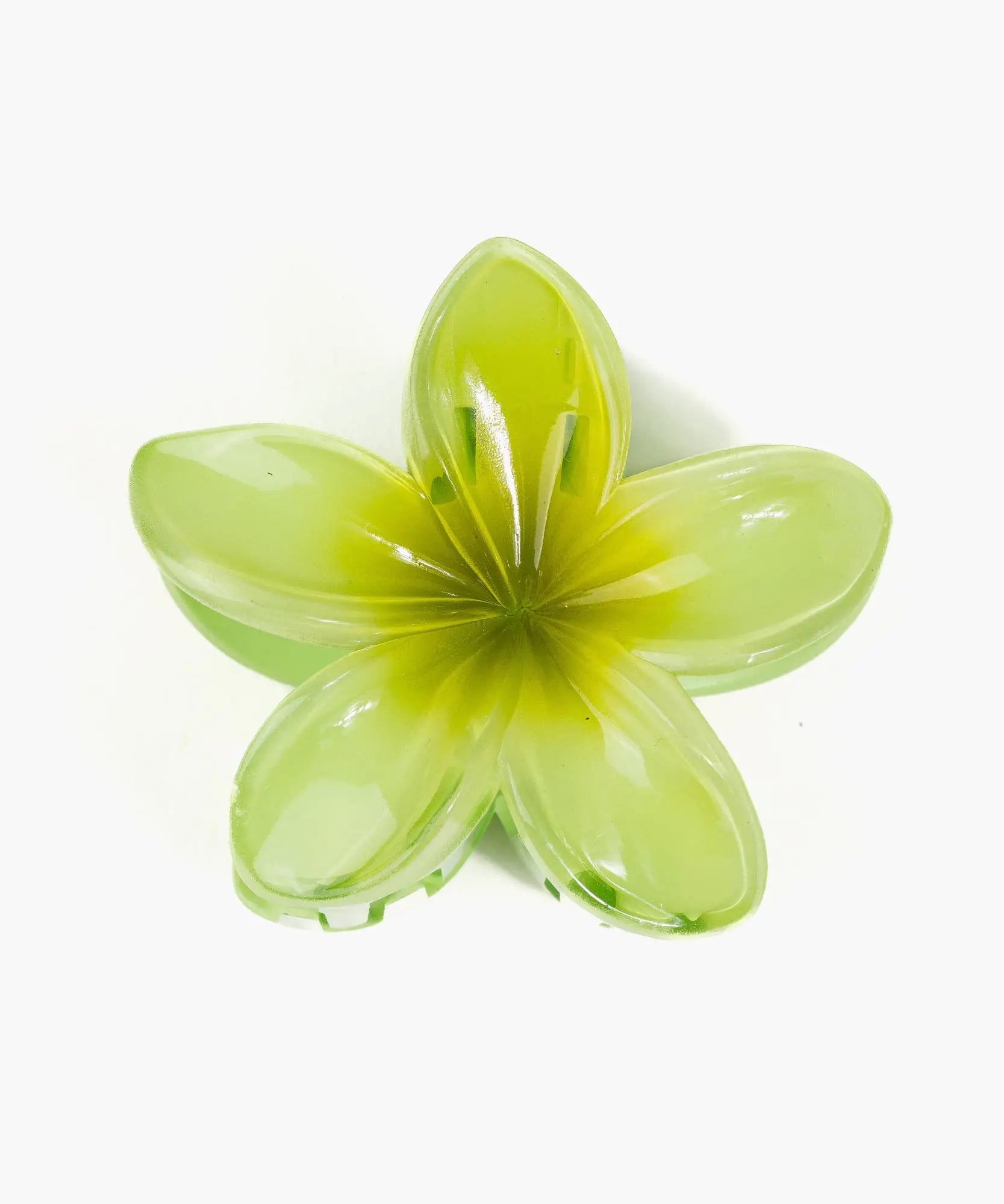 Pinche De Flor Tropical