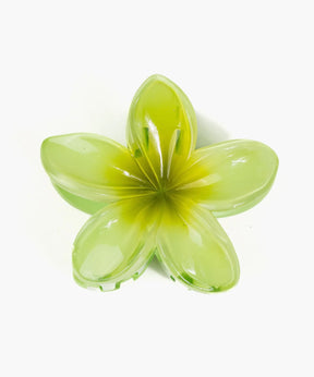 Pinche De Flor Tropical