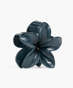 Pinche De Flor Tropical