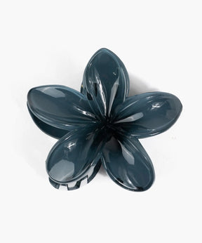 Pinche De Flor Tropical