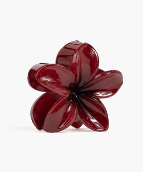 Pinche De Flor Tropical