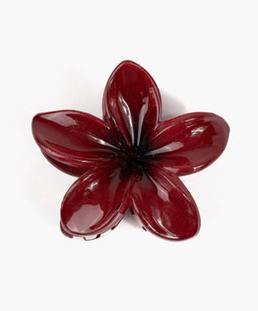 Pinche De Flor Tropical