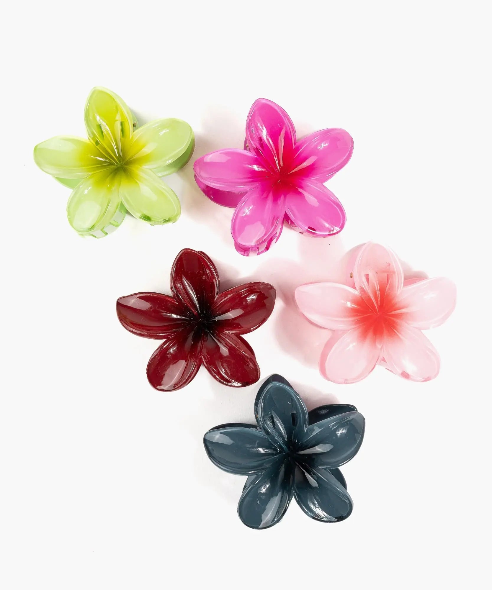 Pinche De Flor Tropical