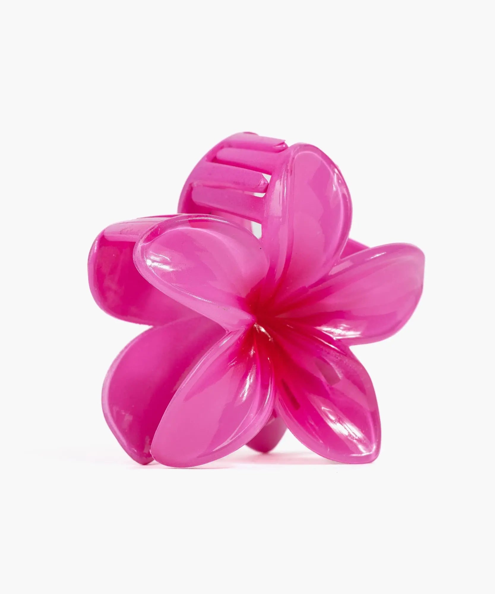 Pinche De Flor Tropical