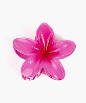 Pinche De Flor Tropical