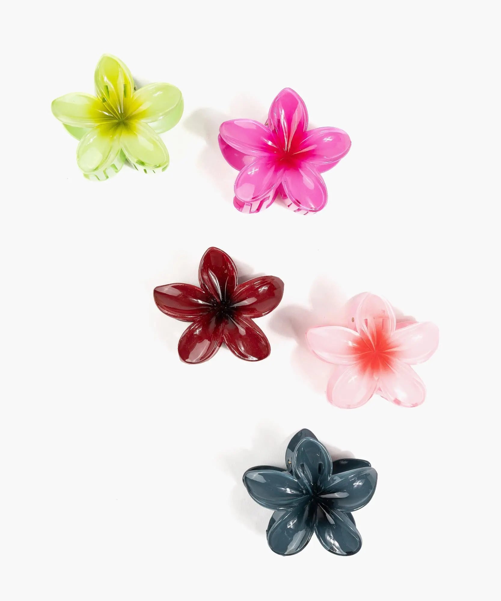 Pinche De Flor Tropical