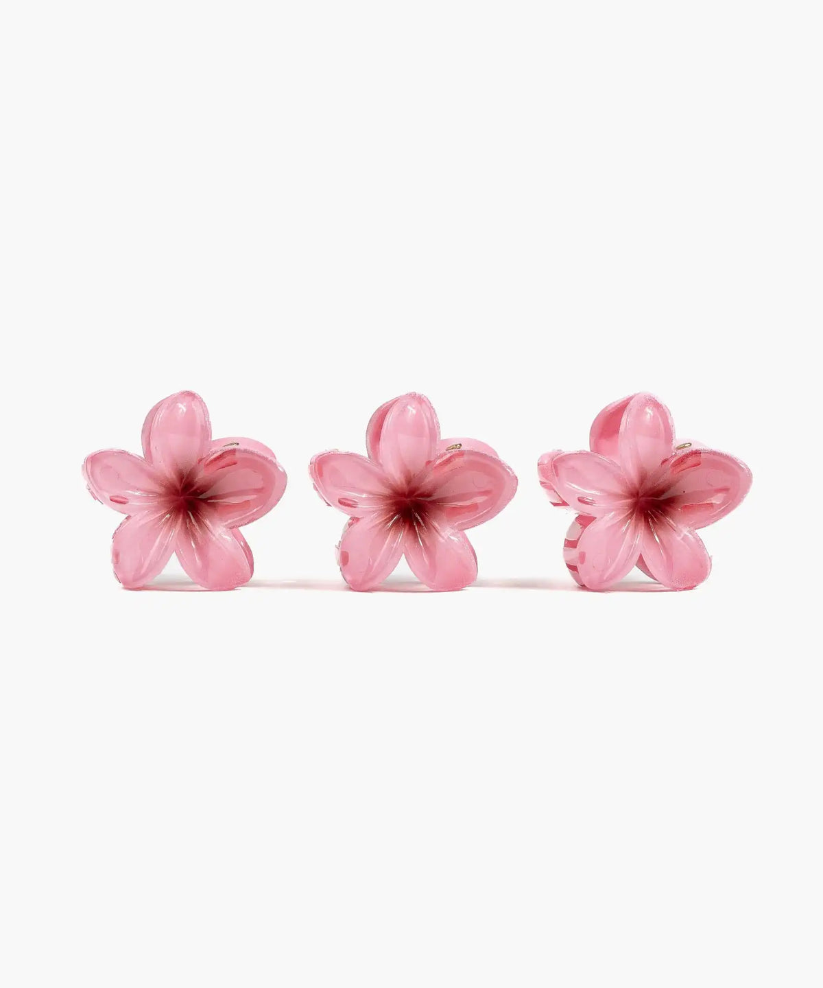 Set Pinches Flor