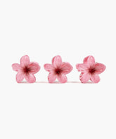 Set Pinches Flor