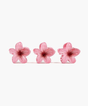 Set Pinches Flor