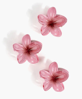 Set Pinches Flor