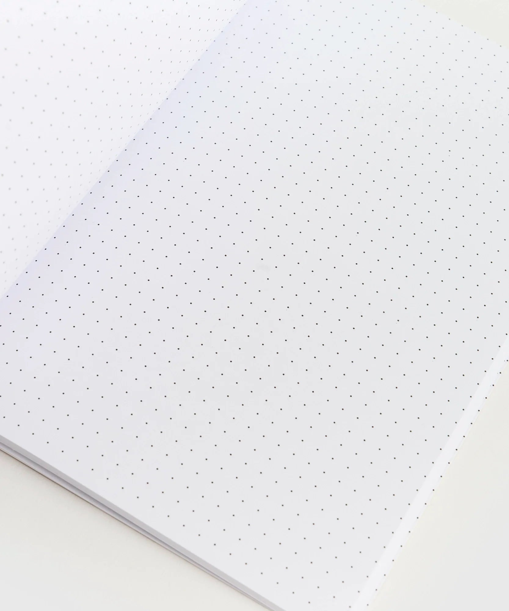 Set Libretas Libretas 80 Hojas Back To School