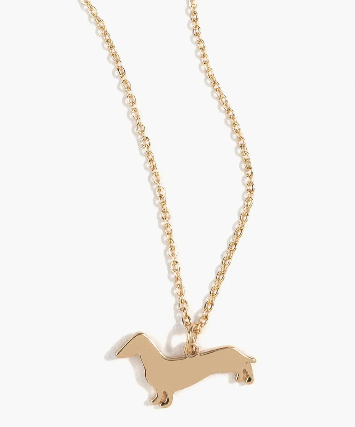 Collar Perro Salchicha