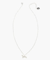 Collar Perro Salchicha