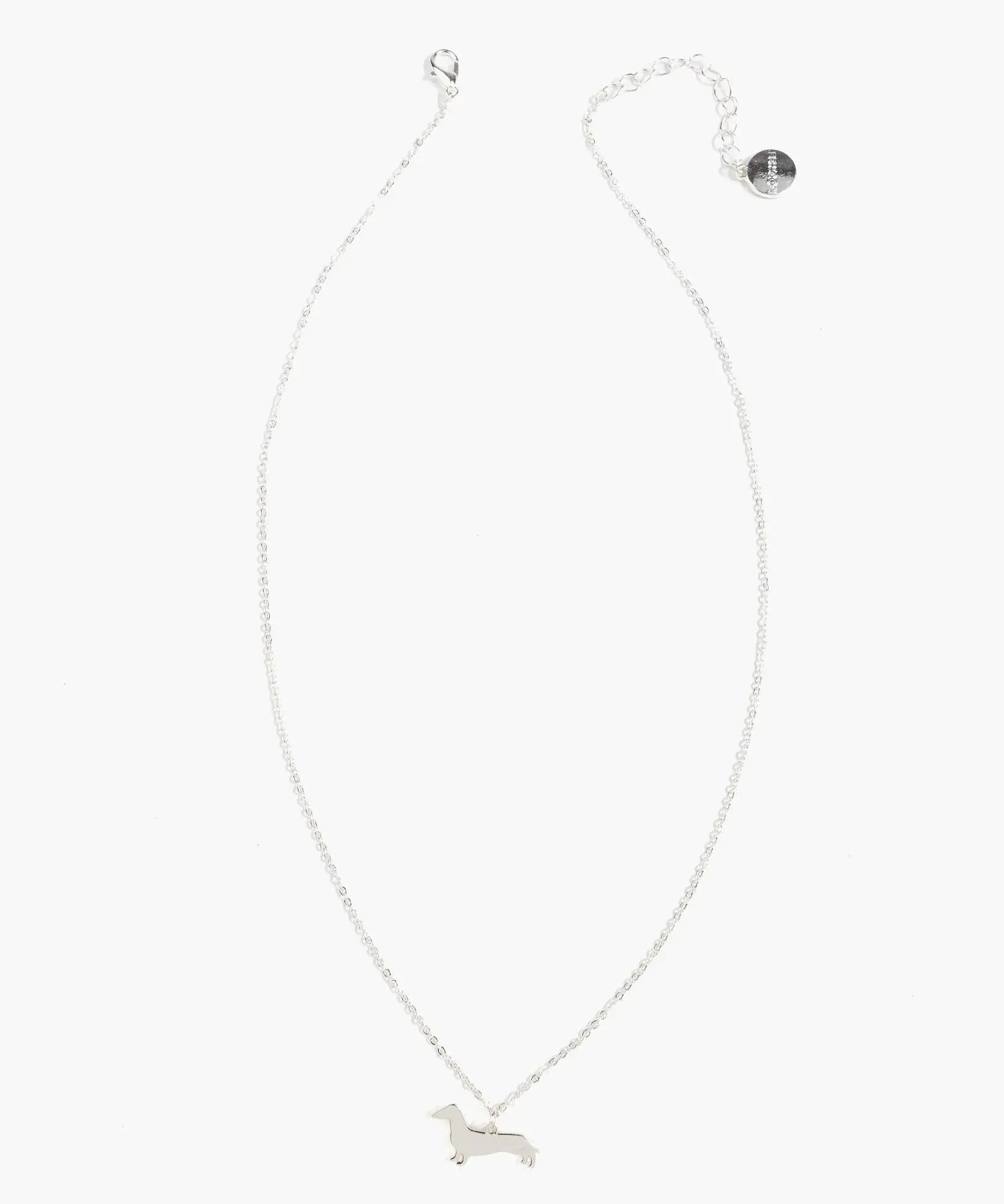 Collar Perro Salchicha