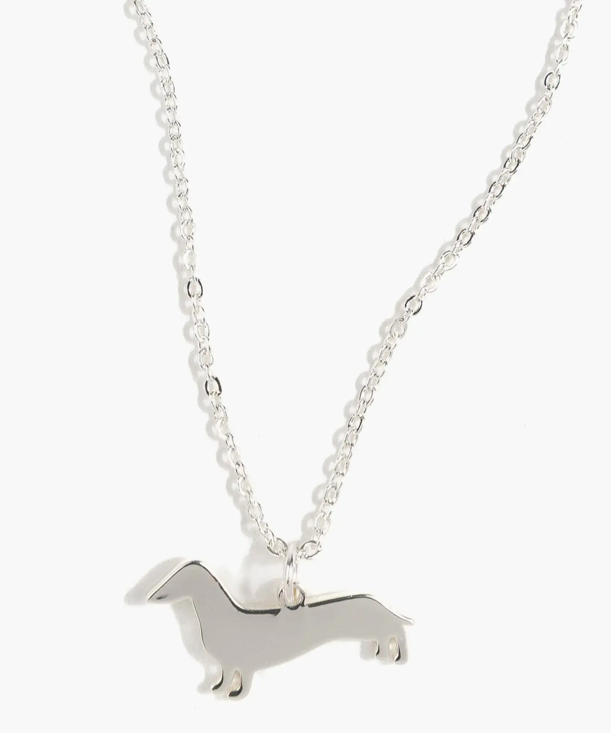 Collar Perro Salchicha