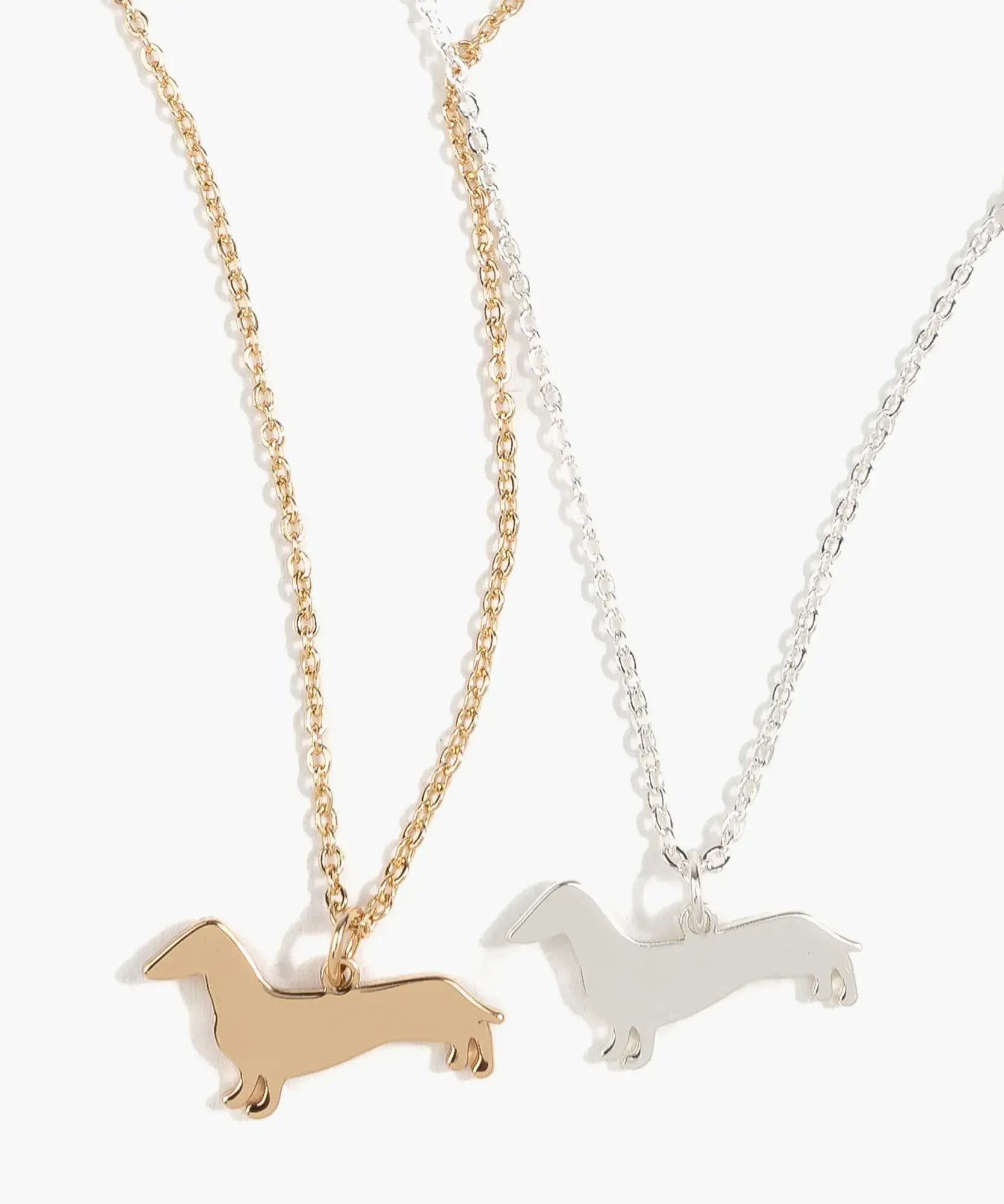 Collar Perro Salchicha