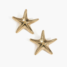 Aros Estrella De Mar