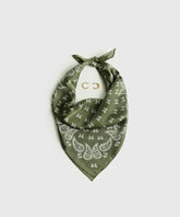 Set Pañuelo Y Aros Estampado