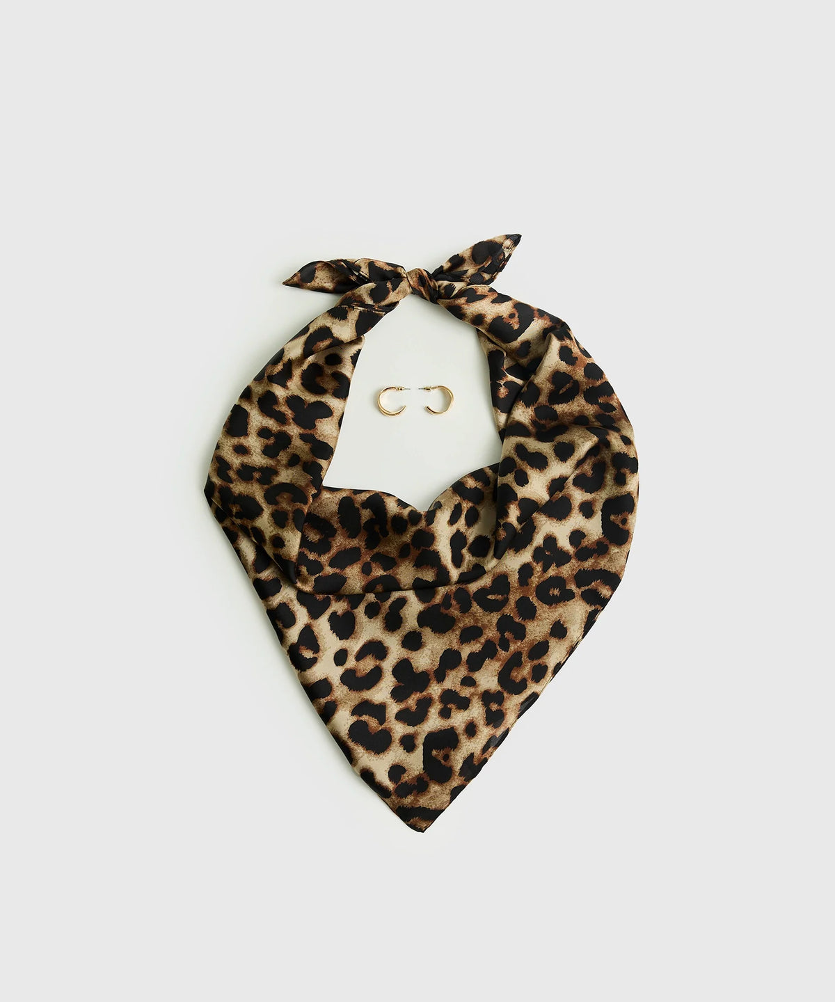 Set Pañuelo Y Aros Estampado Animal Print